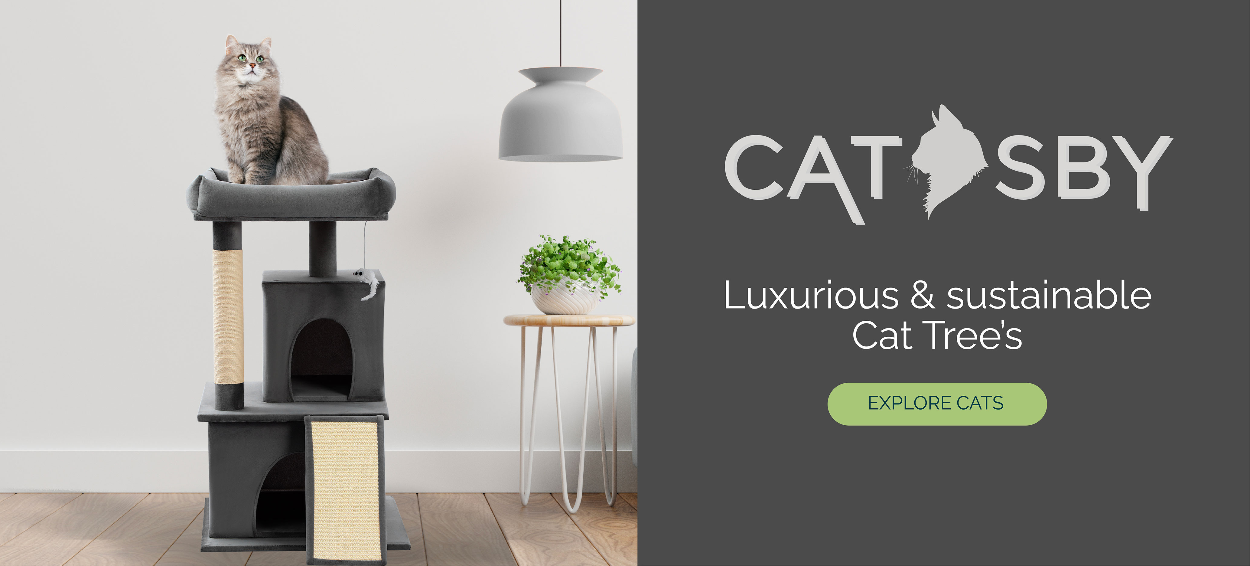 Catsby
