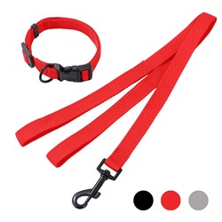 Essentials Dog Collar & Lead