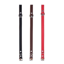 Premium Original Dog Collar