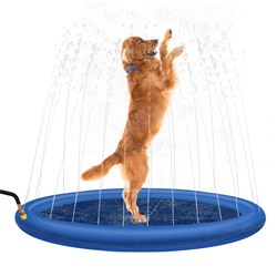 Pet Sprinkler Splash Pad